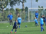 S.K.N.W.K. JO9-1 - ST FC De Westhoek '20/Z.S.C. '62 JO9-3 (competitie) 2024-2025 (4e fase) (27/48)